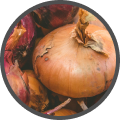 ONION