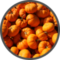 PUMPKIN